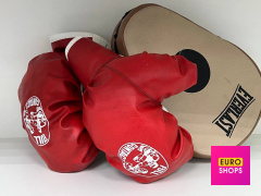 Дитячий набір для тренувань боксу,рукавички та лапа Everlast