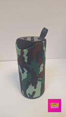 Колонка AST 311C
