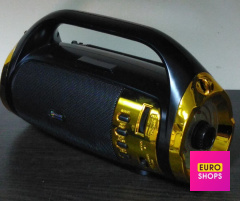 Радіоприймач Golon RX-BT2020S з ліхтарем