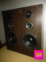 Акустична система JUNIOR 100W