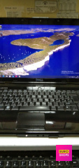 Ноутбук Dell ISPIRON 1545 pp41l PentiumT4200/RAM4GB/HDD250GB