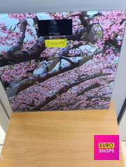 Електронні  ваги Maestro MR 1823