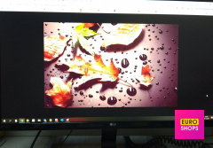 Монітор LG 24MP58VQ-P