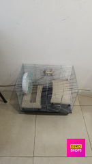 Клітка для гризунів 50*46 см @