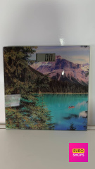 Ваги підлогові Grunhelm BES-MOU