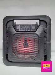 Колонка Bluetooth KOLAV F-602