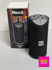 Портативна колонка Reca AST-311B