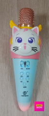 Дитячій мікрофон колонка CAPCOM YS-331